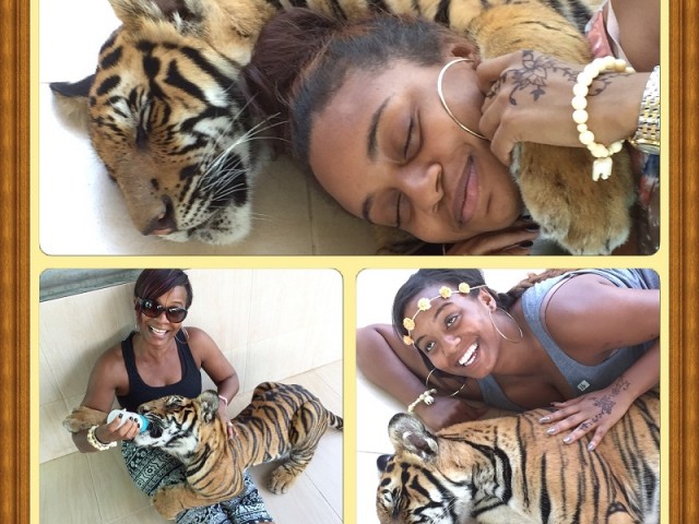 Vanessa, Ashley, Ally & baby tiger Apple